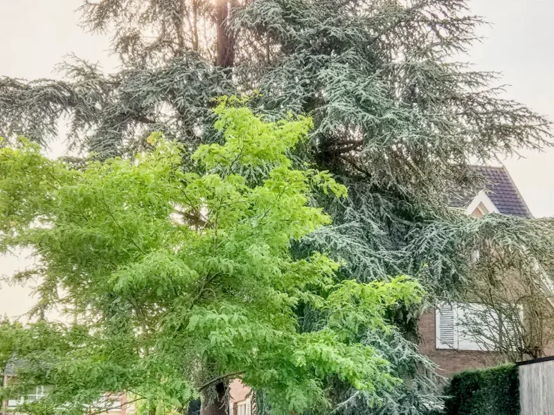 opti_8-20260707_090927