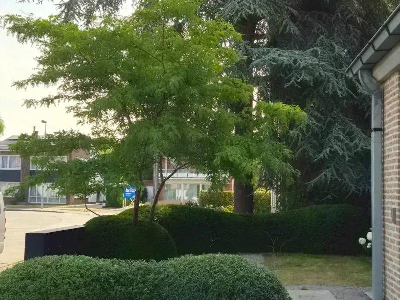 opti_20260707_090910