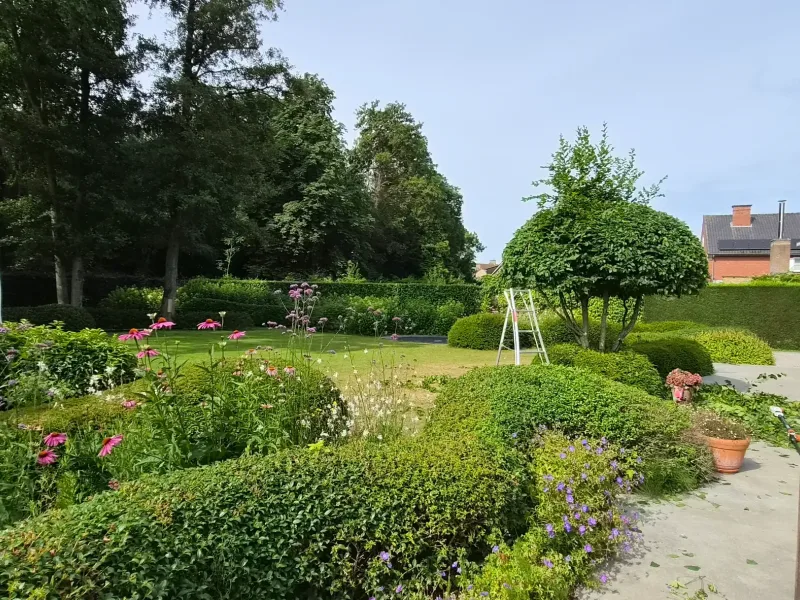 opti_20260707_102418