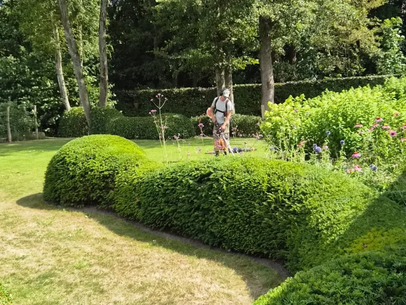 Tuinonderhoud en vormsnoei voor een verzorgde tuin, Brugge