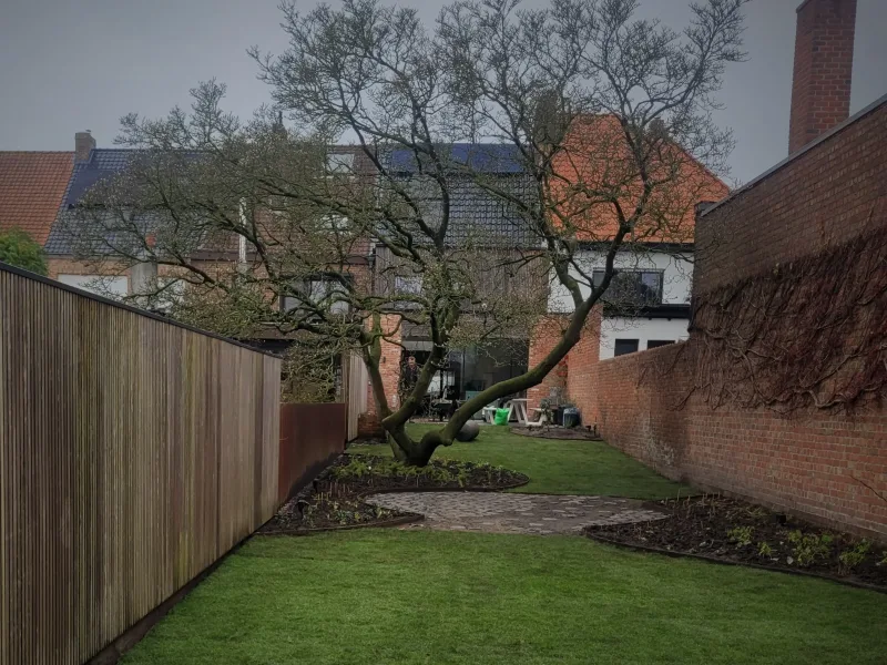 Stadstuin met magnolia, cortenstaal en kasseien, Brugge