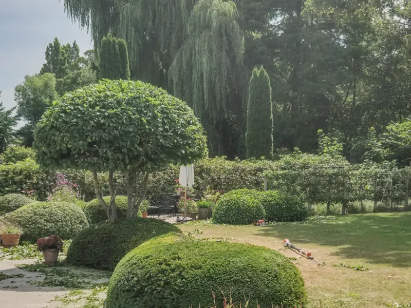 Tuinonderhoud: verzorgde borders en gazon