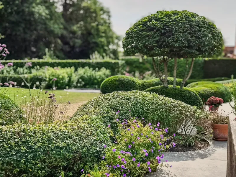 Tuinonderhoud: verzorgde borders en gazon