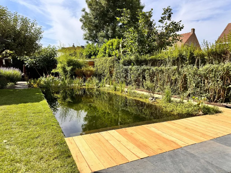 zwemvijver Assebroek