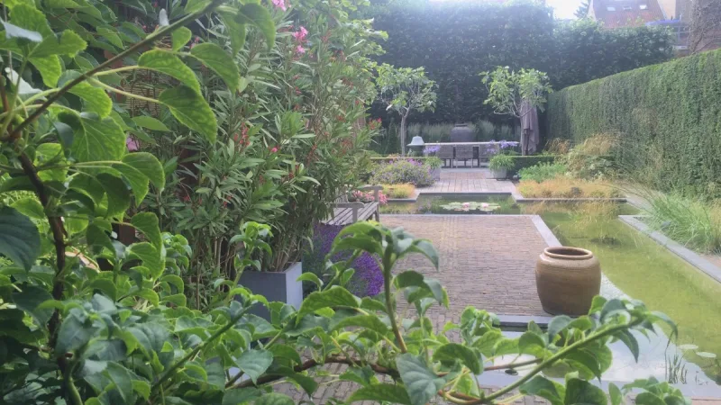 Strak omkaderde border vol bloeiende vaste planten en siergrassen in een moderne tuin