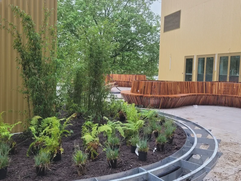 Dakterras aanleggen voor Cactus Café: groene daktuin op maat, Brugge